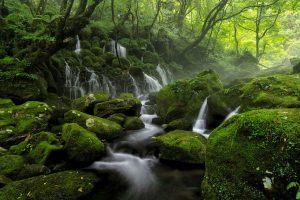 river, brook, spring