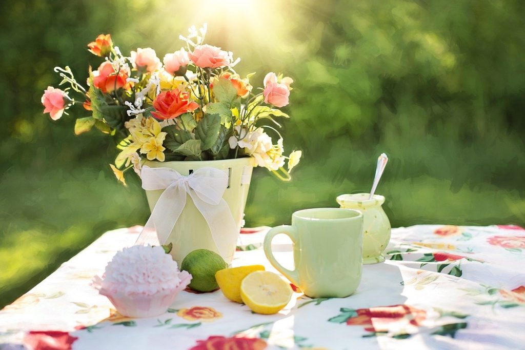 summer, still-life, garden