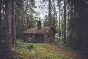 cabin, forest, seclusion